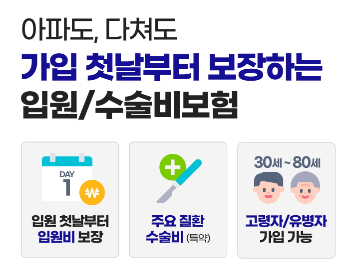 라이나생명 실비보험