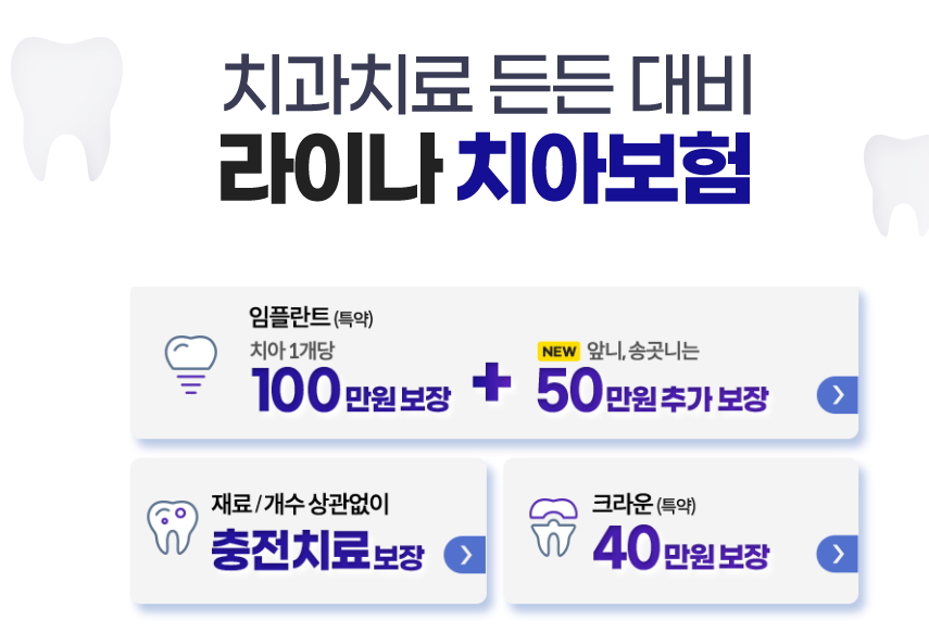 라이나생명 치아보험